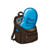 Blue Bean Solutions